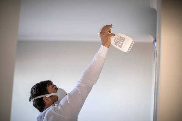 Best Mold Removal Company Near Me  in Leitchfield, KY