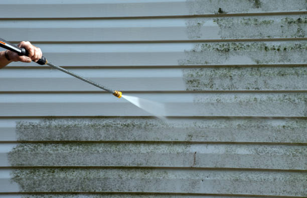 Best Attic Mold Removal  in Leitchfield, KY
