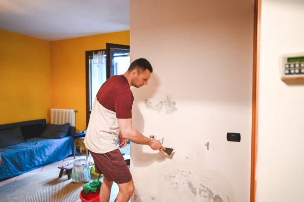 Best Mold Testing  in Leitchfield, KY